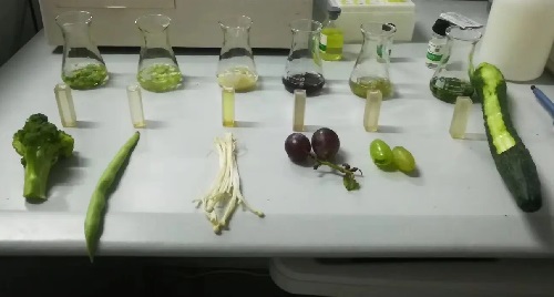 蔬菜檢測.jpg 蔬菜檢測.jpg