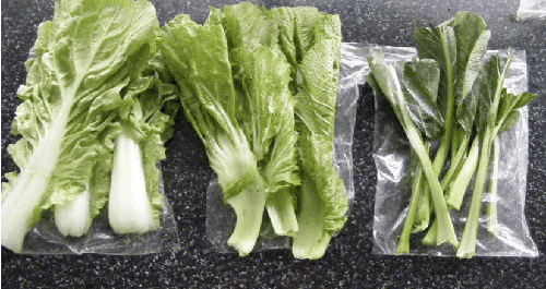 蔬菜采樣.png 蔬菜采樣.png